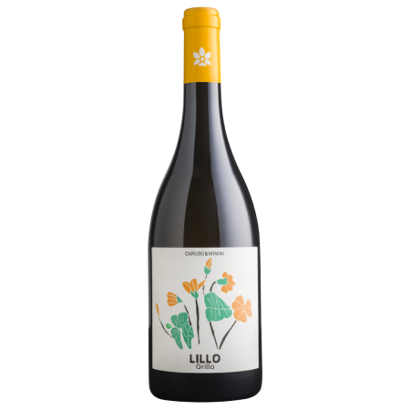 Lillo Grillo di Caruso e Minini